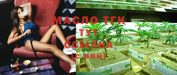 дживик Краснослободск