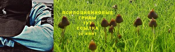 дживик Краснослободск