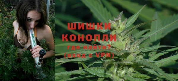 дживик Краснослободск