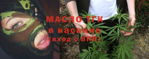 дживик Краснослободск