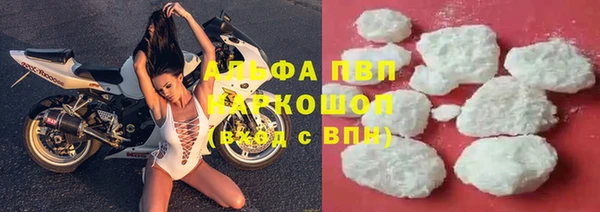 дживик Краснослободск